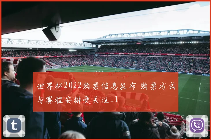 世界杯2022购票信息发布 购票方式与赛程安排受关注_1