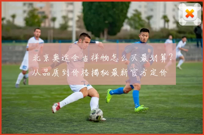 北京奥运会吉祥物怎么买最划算?从品质到价格揭秘最新官方定价