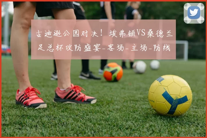 古迪逊公园对决！埃弗顿VS桑德兰 足总杯攻防盛宴_客场_主场_防线