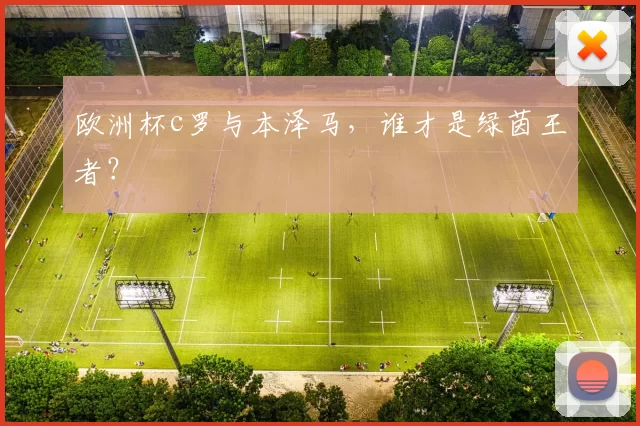 欧洲杯c罗与本泽马，谁才是绿茵王者？