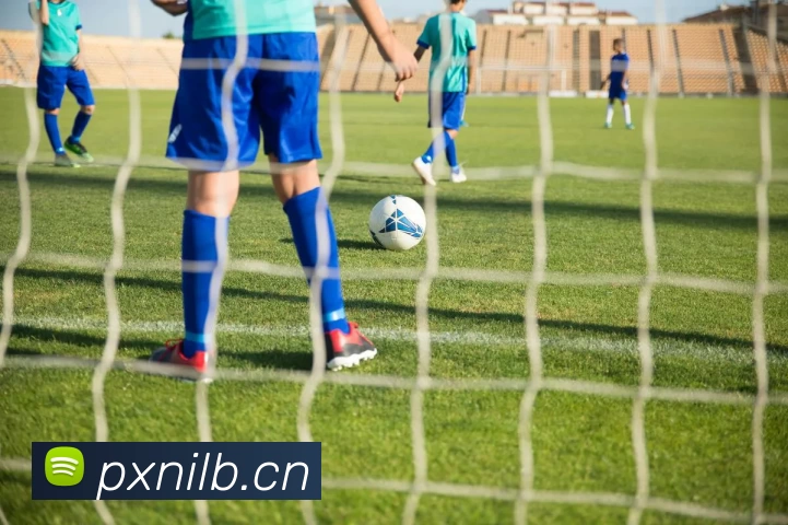 九游官网网页版发展历程