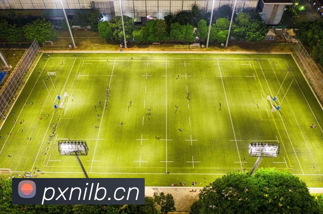 德国队世界杯阵容公布多名老将落选新星首次入选